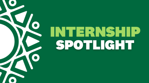 IRVING institute logo with text that reads Internship Spotlight