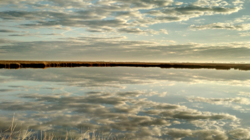 Coastal Resilience at Edwin Forsythe Refuge