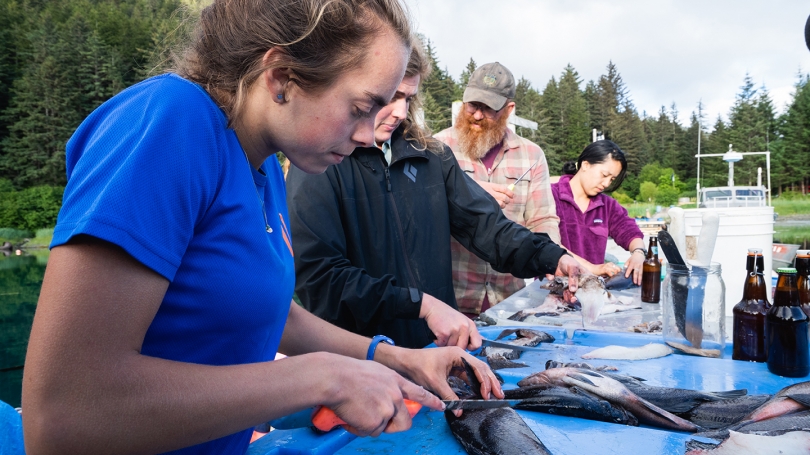 Students prepare fish for dinner in Alaska