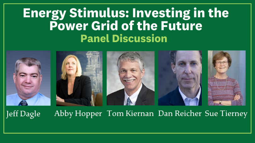 energy stimulus panel speakers