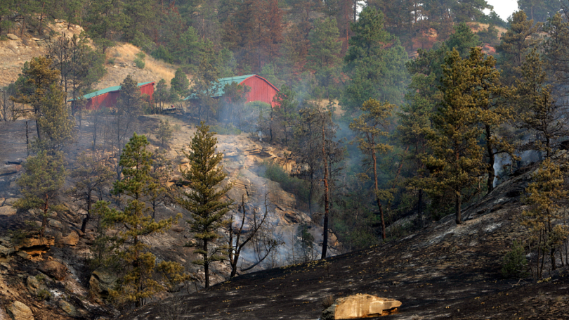 an image of woods scorched by wildfire with houses nearby