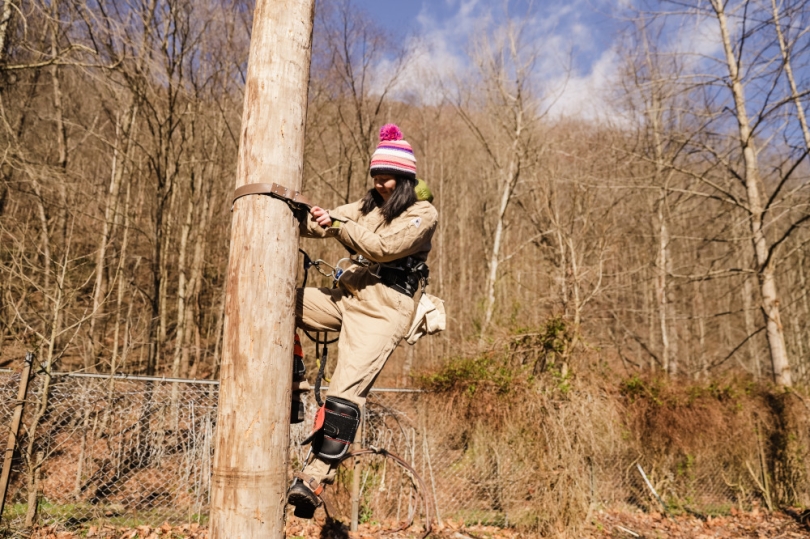 A person climbs a utility poel