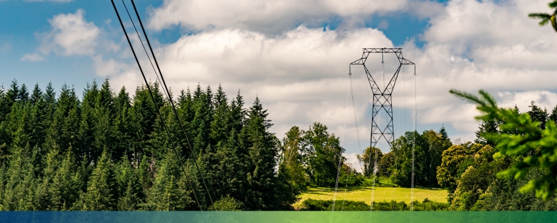 A electricity transmission tower on a hill surrounded by evergreen trees.