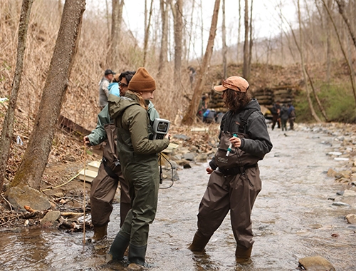 Dartmouth students stand in a stream and collect samples.